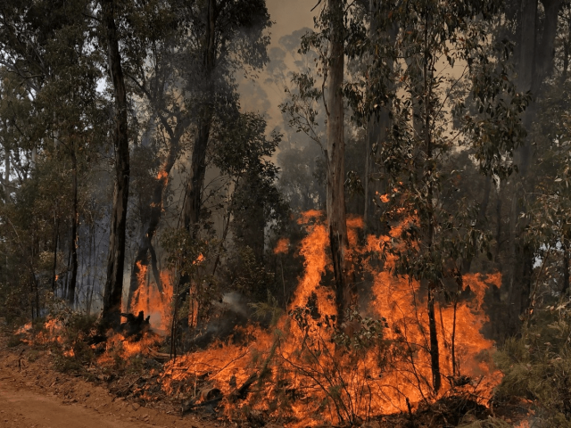 1725320049 australian bushfires