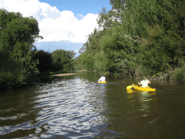 1759281850 lifestyle properties